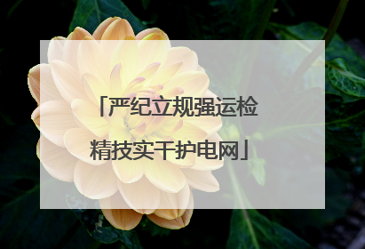 严纪立规强运检 精技实干护电网