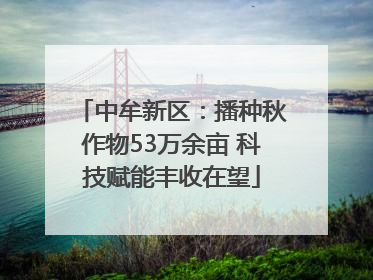中牟新区：播种秋作物53万余亩 科技赋能丰收在望