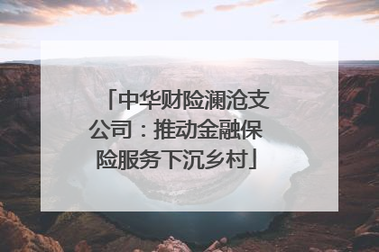 中华财险澜沧支公司：推动金融保险服务下沉乡村