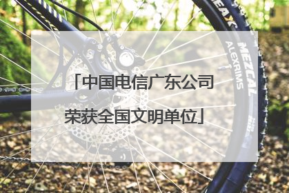 中国电信广东公司荣获全国文明单位
