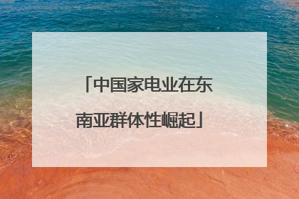 中国家电业在东南亚群体性崛起