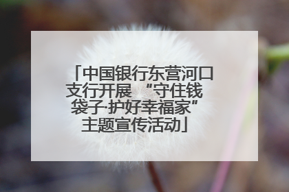 中国银行东营河口支行开展 “守住钱袋子·护好幸福家”主题宣传活动