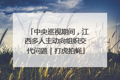 中央巡视期间，江西多人主动向组织交代问题｜打虎拍蝇