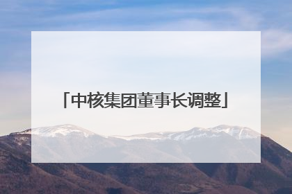 中核集团董事长调整