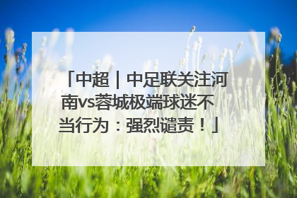 中超｜中足联关注河南vs蓉城极端球迷不当行为：强烈谴责！