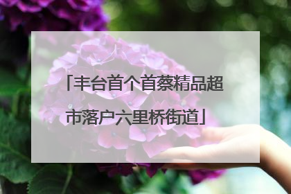 丰台首个首蔡精品超市落户六里桥街道