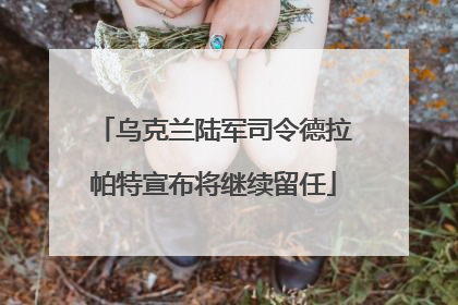 乌克兰陆军司令德拉帕特宣布将继续留任