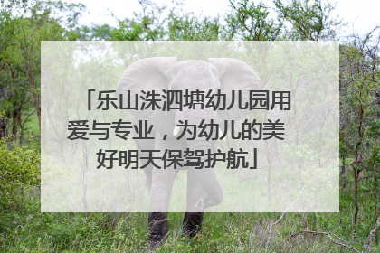 乐山洙泗塘幼儿园用爱与专业，为幼儿的美好明天保驾护航