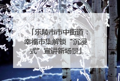 乐陵市市中街道：幸福市集解锁“沉浸式”宣讲新场景