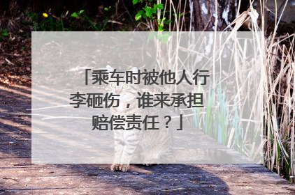 乘车时被他人行李砸伤，谁来承担赔偿责任？