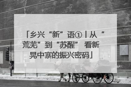 乡兴“新”语①丨从“荒芜”到“苏醒” 看新晃中寨的振兴密码