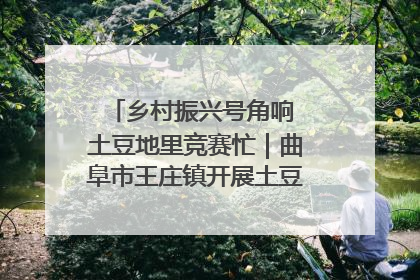 乡村振兴号角响 土豆地里竞赛忙｜曲阜市王庄镇开展土豆收获劳动竞赛