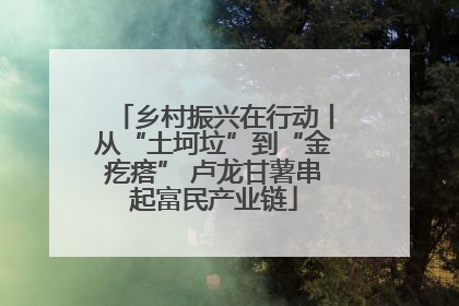 乡村振兴在行动丨从“土坷垃”到“金疙瘩” 卢龙甘薯串起富民产业链