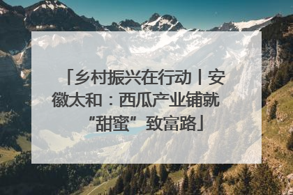 乡村振兴在行动丨安徽太和：西瓜产业铺就“甜蜜”致富路