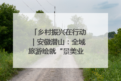 乡村振兴在行动｜安徽潜山：全域旅游绘就“景美业兴民富”新画卷