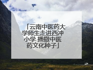 云南中医药大学师生走进西冲小学 播撒中医药文化种子