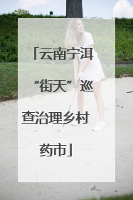 云南宁洱“街天”巡查治理乡村药市