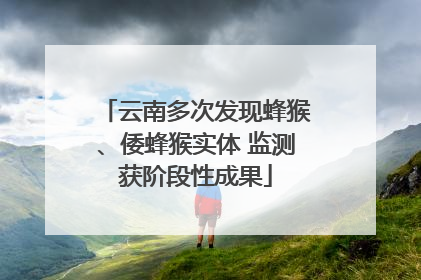 云南多次发现蜂猴、倭蜂猴实体 监测获阶段性成果