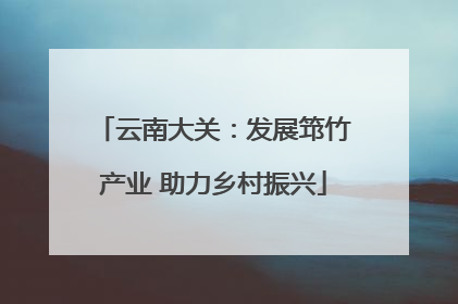 云南大关：发展筇竹产业 助力乡村振兴