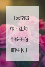 云南景东：让每个孩子向阳生长