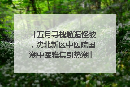 五月寻槐邂逅怪坡，沈北新区中医院国潮中医雅集引热潮
