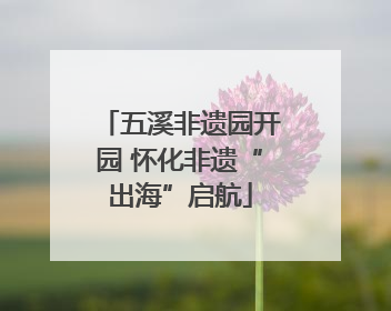 五溪非遗园开园 怀化非遗“出海”启航