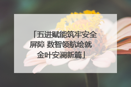 五进赋能筑牢安全屏障 数智领航绘就金叶安澜新篇