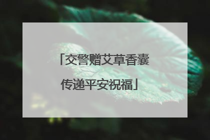 交警赠艾草香囊 传递平安祝福