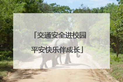 交通安全进校园 平安快乐伴成长