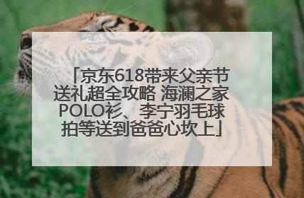 京东618带来父亲节送礼超全攻略 海澜之家POLO衫、李宁羽毛球拍等送到爸爸心坎上