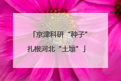 京津科研“种子”扎根河北“土壤”