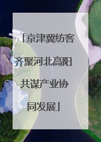 京津冀纺客齐聚河北高阳 共谋产业协同发展