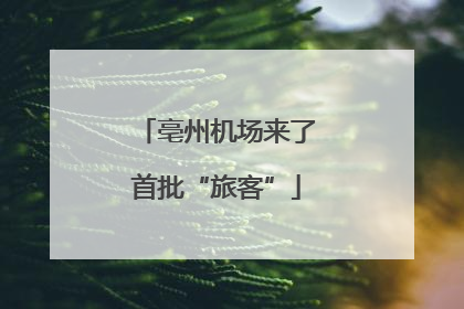 亳州机场来了首批“旅客”