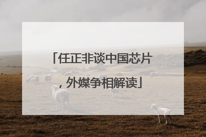 任正非谈中国芯片，外媒争相解读