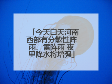 今天白天河南西部有分散性阵雨、雷阵雨 夜里降水将增强