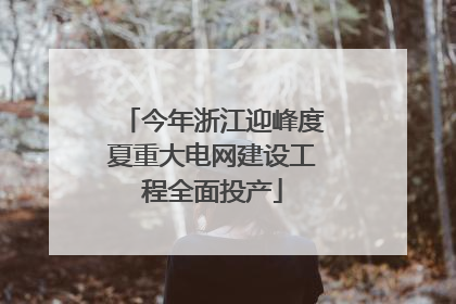 今年浙江迎峰度夏重大电网建设工程全面投产