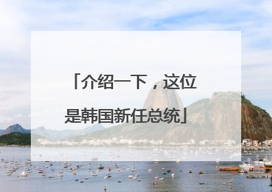 介绍一下，这位是韩国新任总统