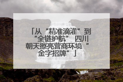 从“精准滴灌”到“全链护航” 四川朝天擦亮营商环境“金字招牌”