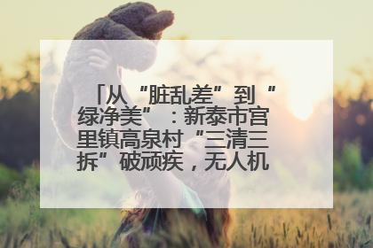 从“脏乱差”到“绿净美”：新泰市宫里镇高泉村“三清三拆”破顽疾，无人机“天眼”护新颜