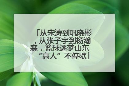 从宋涛到巩晓彬，从张子宇到杨瀚森，篮球逐梦山东“高人”不停歇