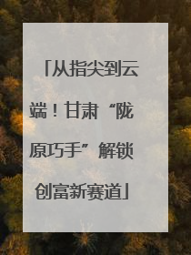 从指尖到云端！甘肃“陇原巧手”解锁创富新赛道
