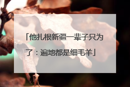 他扎根新疆一辈子只为了：遍地都是细毛羊