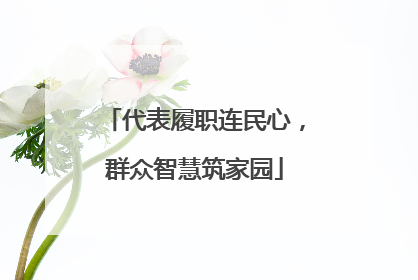代表履职连民心，群众智慧筑家园