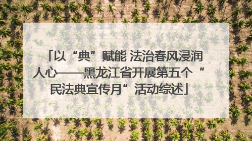 以“典”赋能 法治春风浸润人心——黑龙江省开展第五个“民法典宣传月”活动综述