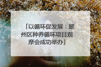 以循环促发展：耀州区种养循环项目观摩会成功举办