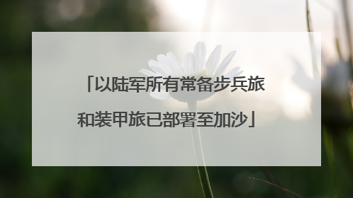 以陆军所有常备步兵旅和装甲旅已部署至加沙