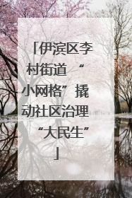 伊滨区李村街道 “小网格”撬动社区治理“大民生”