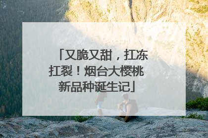 又脆又甜，扛冻扛裂！烟台大樱桃新品种诞生记