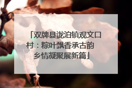 双牌县泷泊镇观文口村：粽叶飘香承古韵 乡情凝聚展新篇