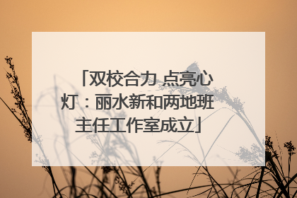 双校合力 点亮心灯：丽水新和两地班主任工作室成立